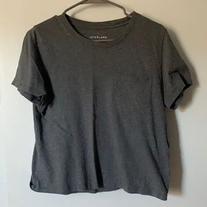Everlane Gray Cropped Tee